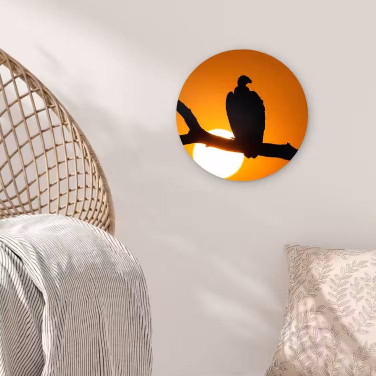 Muurcirkel - Gier - Tak - Zon - Oranje — 5