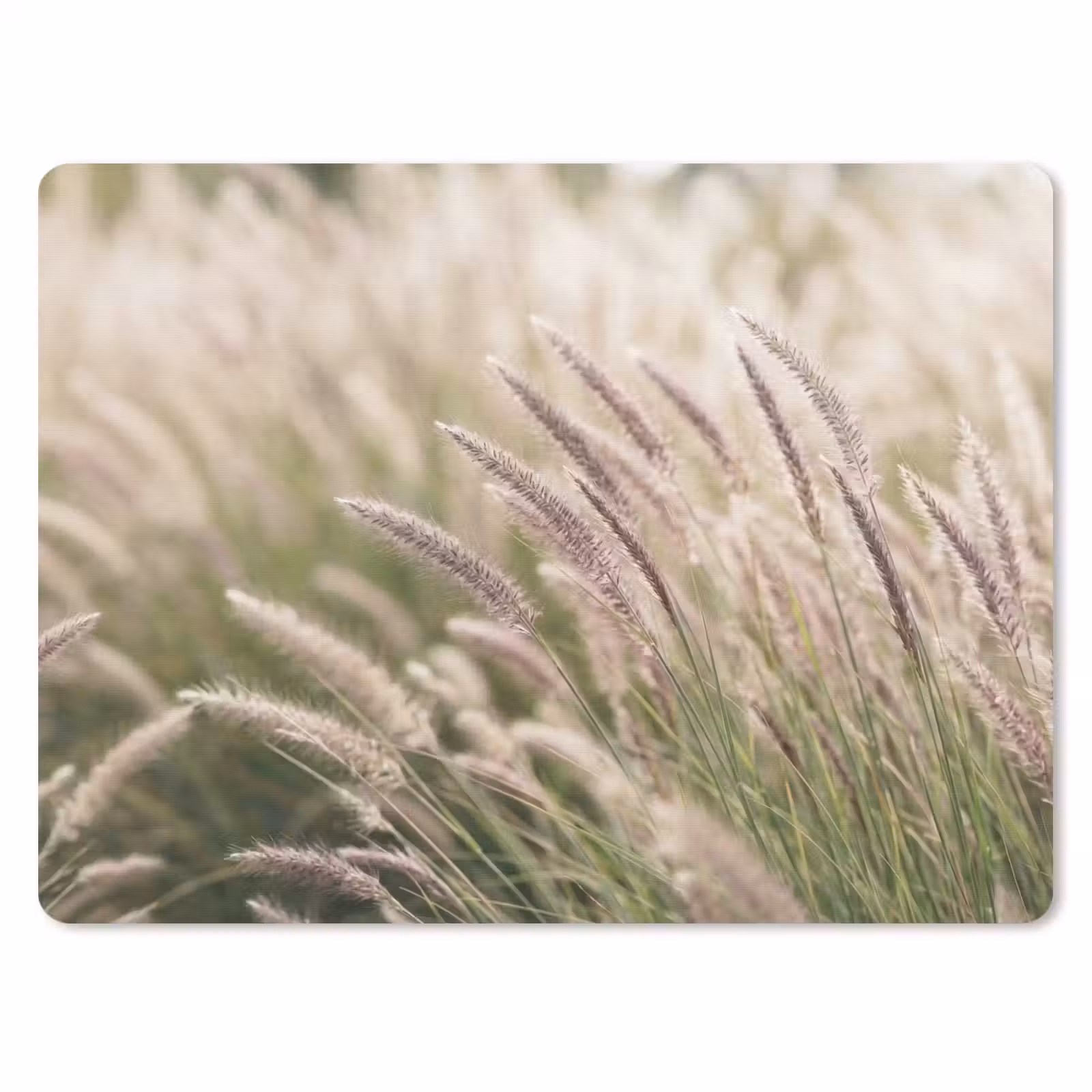 Muismat - Gras - Close up - Groen — 1