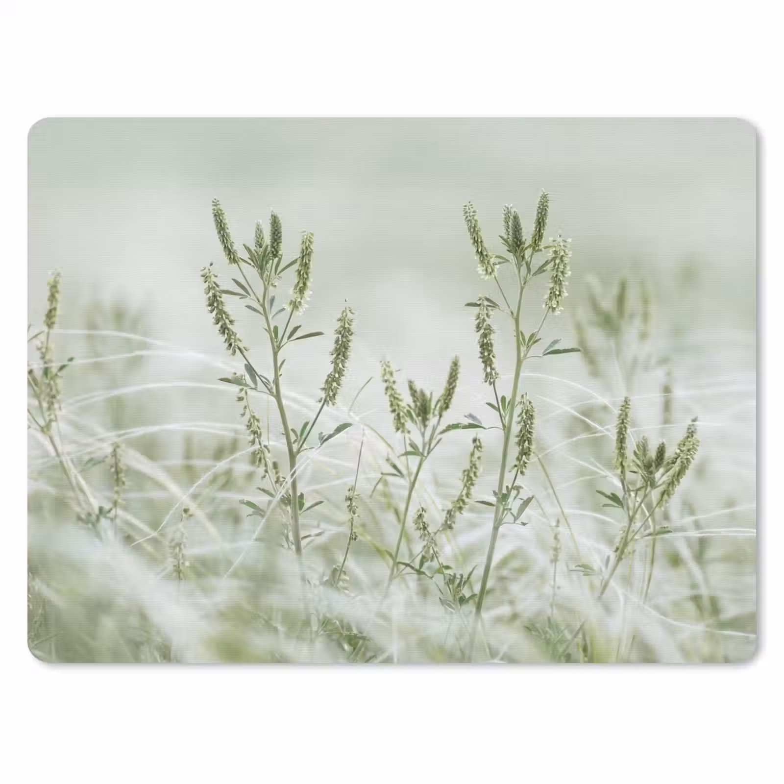Muismat - Grassen - Minimalistisch - Groen — 1