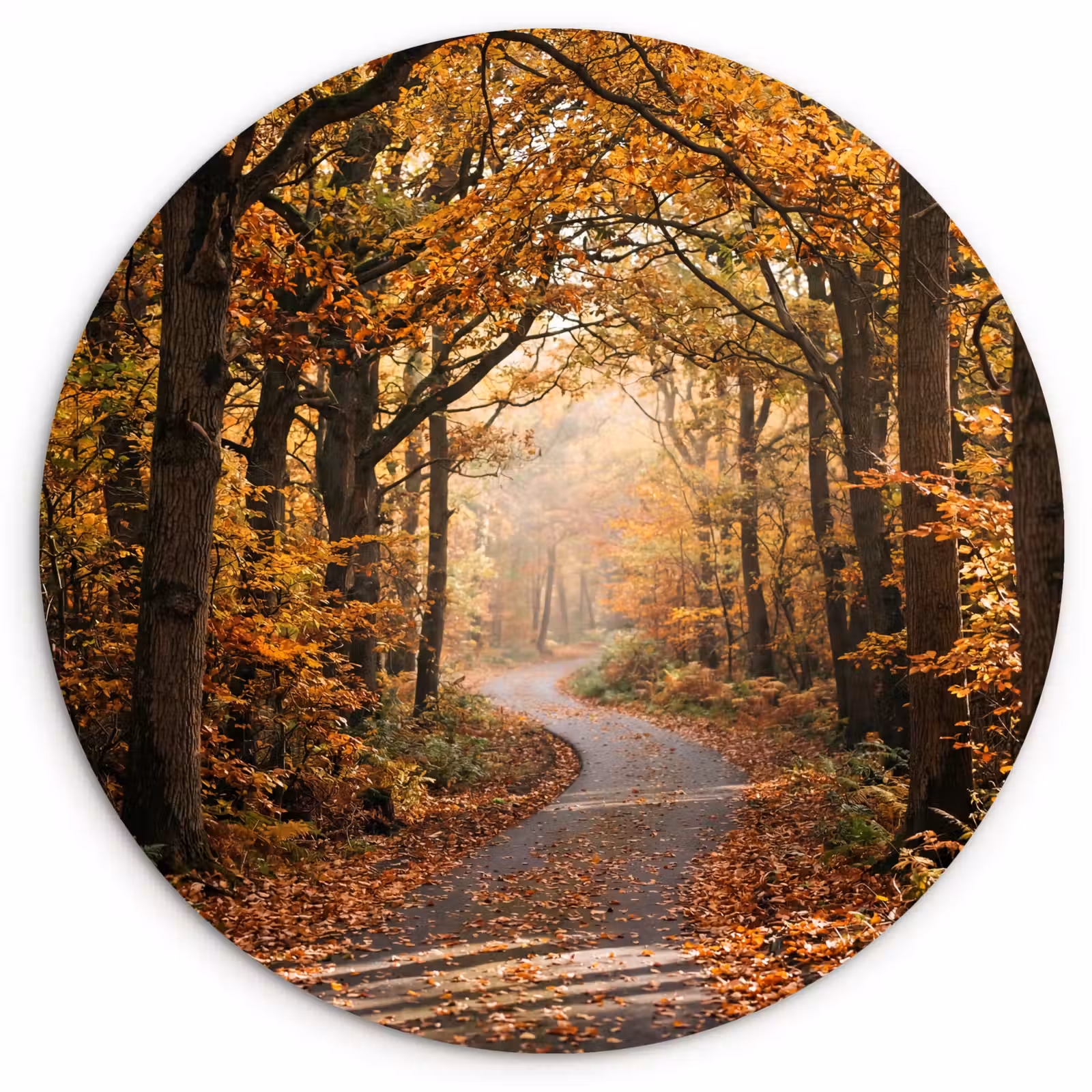Muurcirkel - Bospad - Herfstbos - Bladeren - Oranje - Nostalgisch — 1