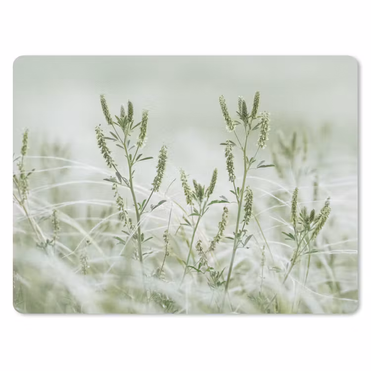 Muismat - Grassen - Minimalistisch - Groen — 1
