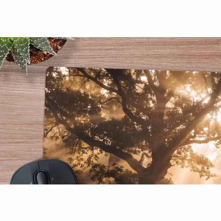 Muismat - Hert - Bos - Mistig - Natuur - Goud — 4