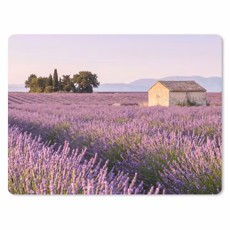 Muismat - Lavendel - Landschap - Sereen - Paars — 1