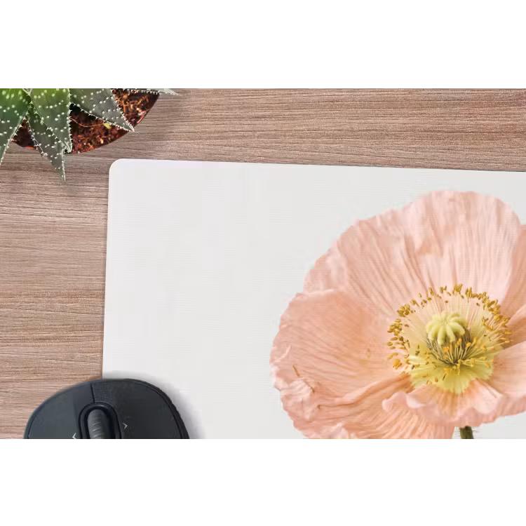 Muismat - Papavers - Botanisch - Roze — 4