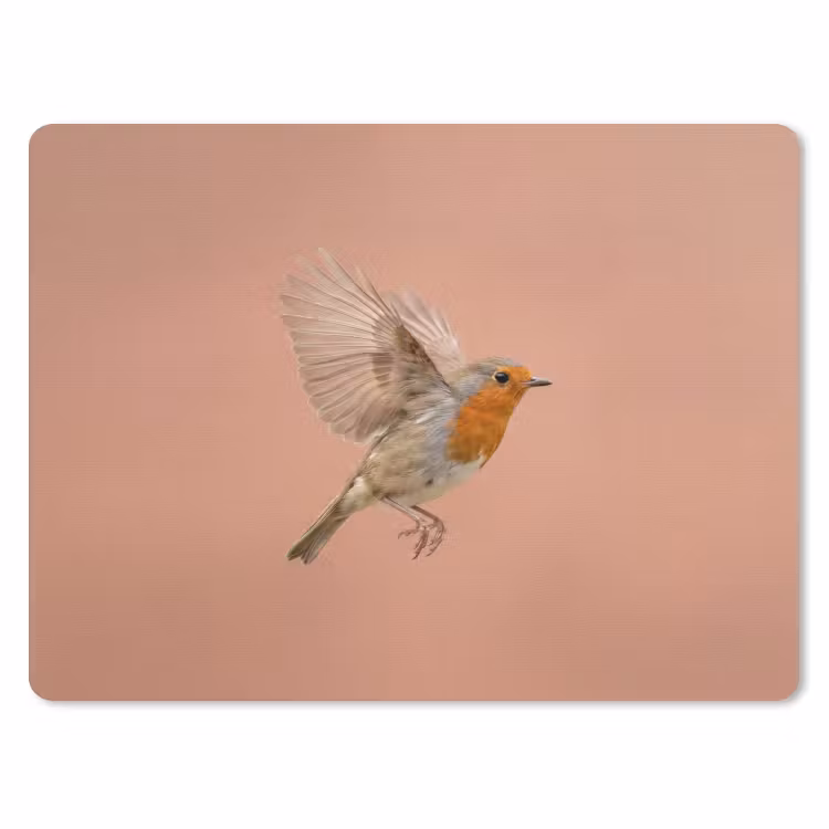 Muismat - Roodborst - Natuur - Roze — 1