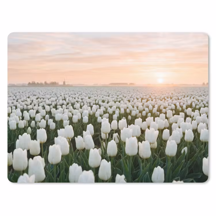 Muismat - Tulpen - Landschap - Wit — 1