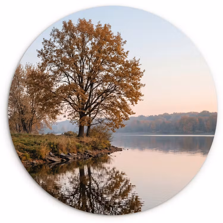 Muurcirkel - Bomen - Reflectie - Water - Zonsopgang - Serene — 1