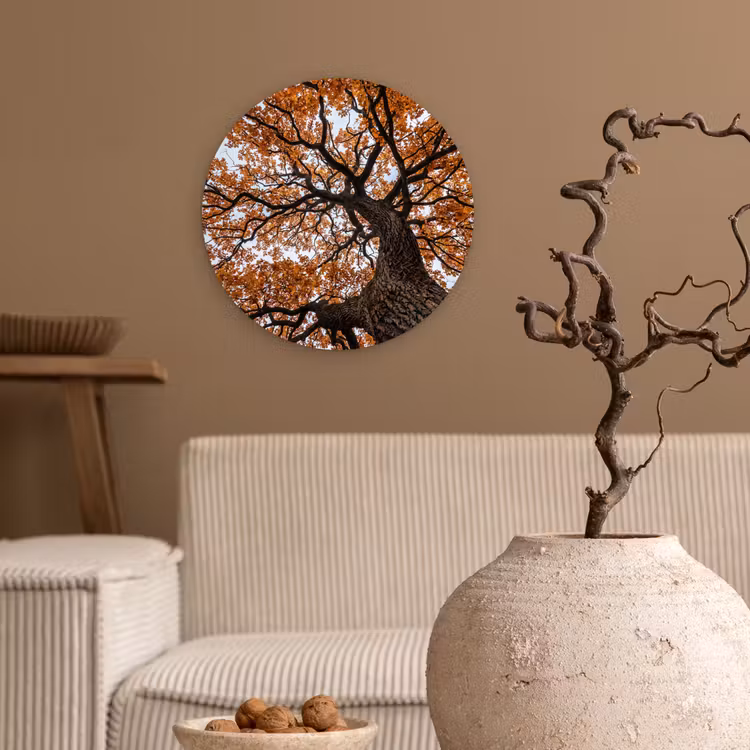 Muurcirkel - Boom - Bladerdak - Herfst - Oranje - Sfeervol — 2