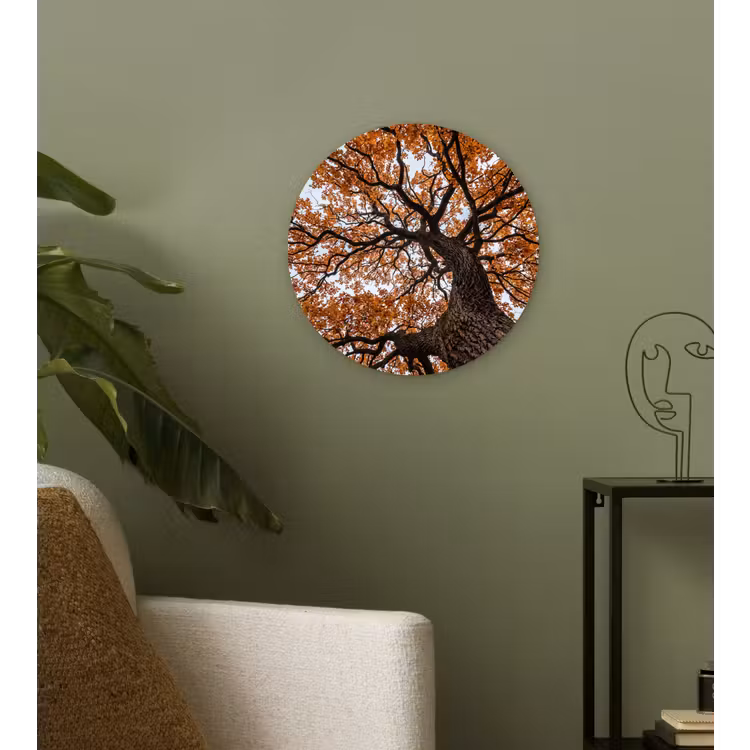 Muurcirkel - Boom - Bladerdak - Herfst - Oranje - Sfeervol — 3