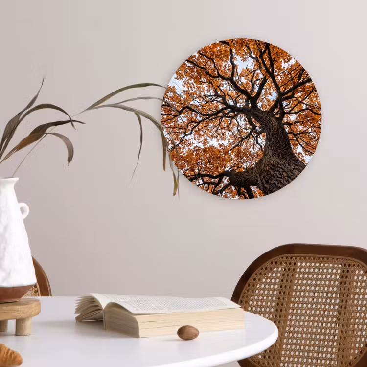 Muurcirkel - Boom - Bladerdak - Herfst - Oranje - Sfeervol — 4