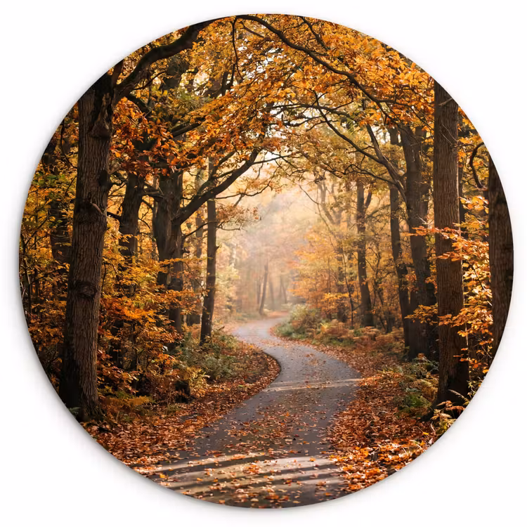 Muurcirkel - Bospad - Herfstbos - Bladeren - Oranje - Nostalgisch — 1