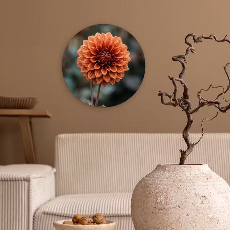 Muurcirkel - Dahlia - Bloem - Natuur - Sfeervol — 2