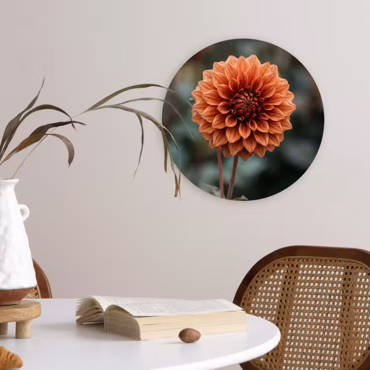 Muurcirkel - Dahlia - Bloem - Natuur - Sfeervol — 4