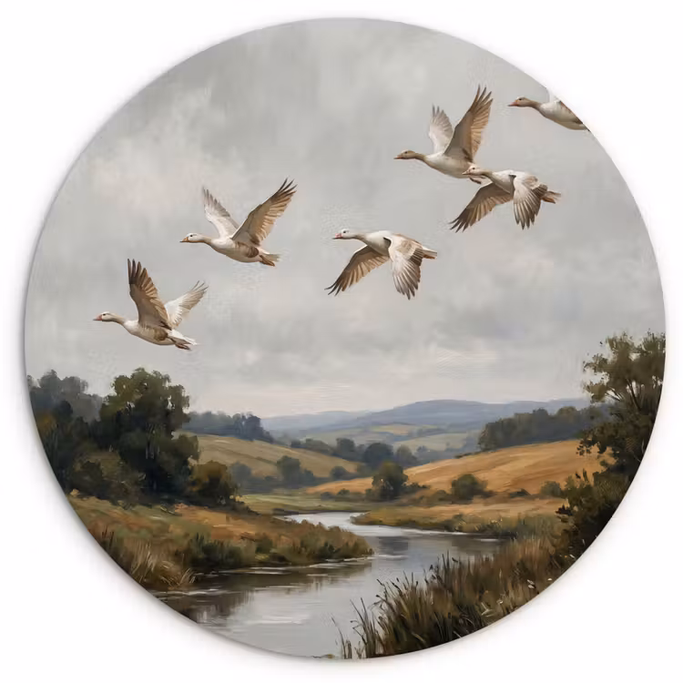 Muurcirkel - Eenden - Rivier - Landschap - Vlucht - Nostalgisch — 1