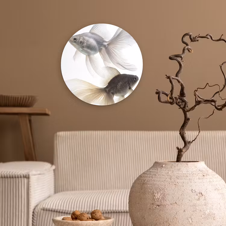 Muurcirkel - Goudvissen - Modern - Wit — 2