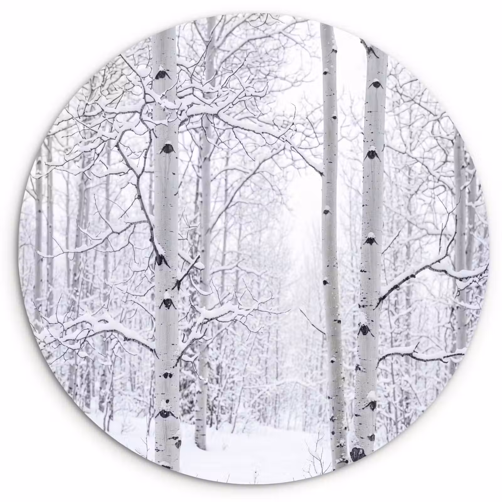 Muurcirkel - Berkenbomen - Sneeuw - Winter - Bos - Wit — 1