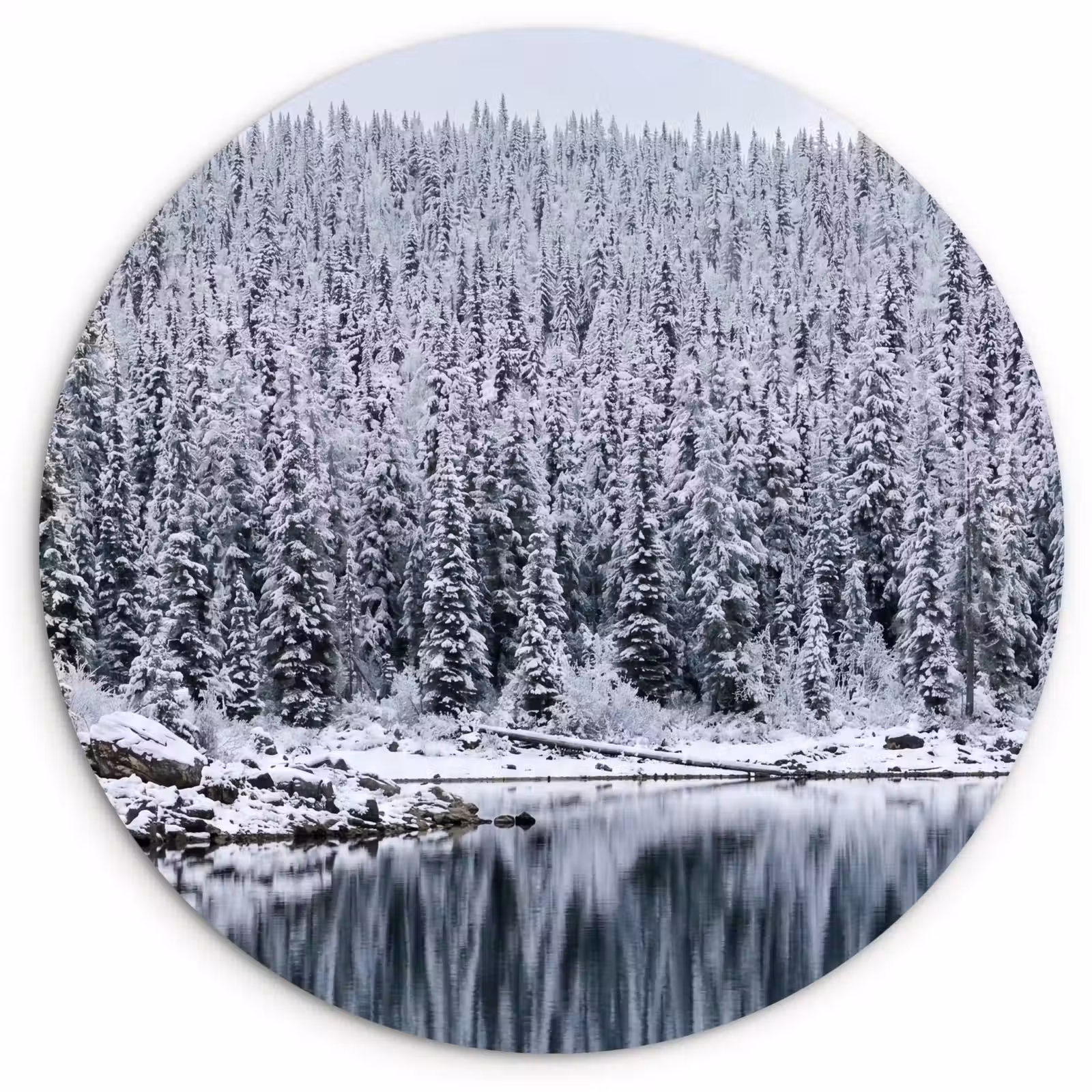 Muurcirkel - Bos - Reflectie - Meer - Winter - Serene — 1