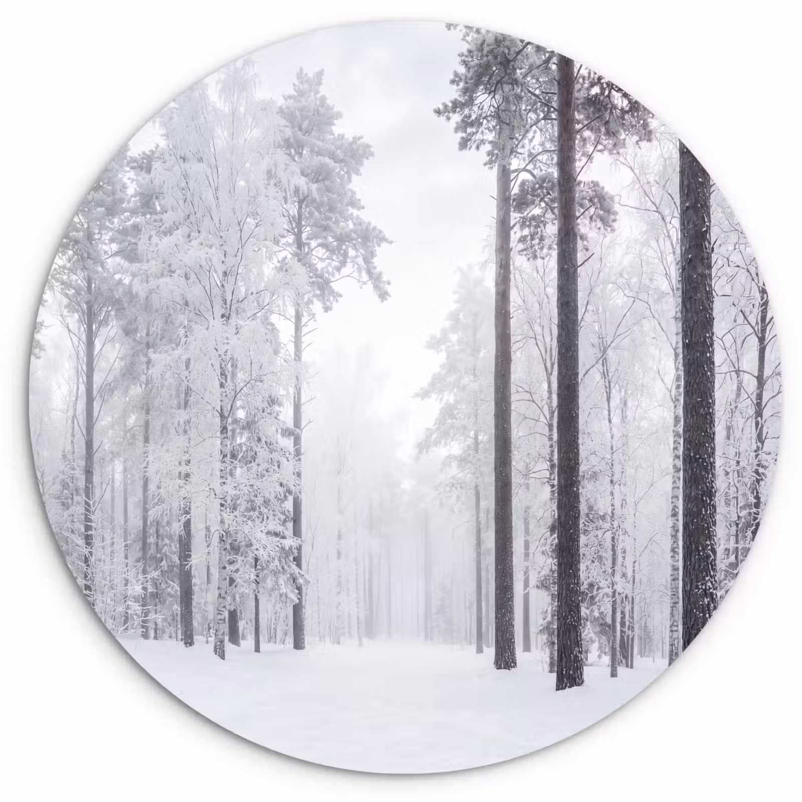 Muurcirkel - Bos - Sneeuw - Pad - Winter - Stilte — 1