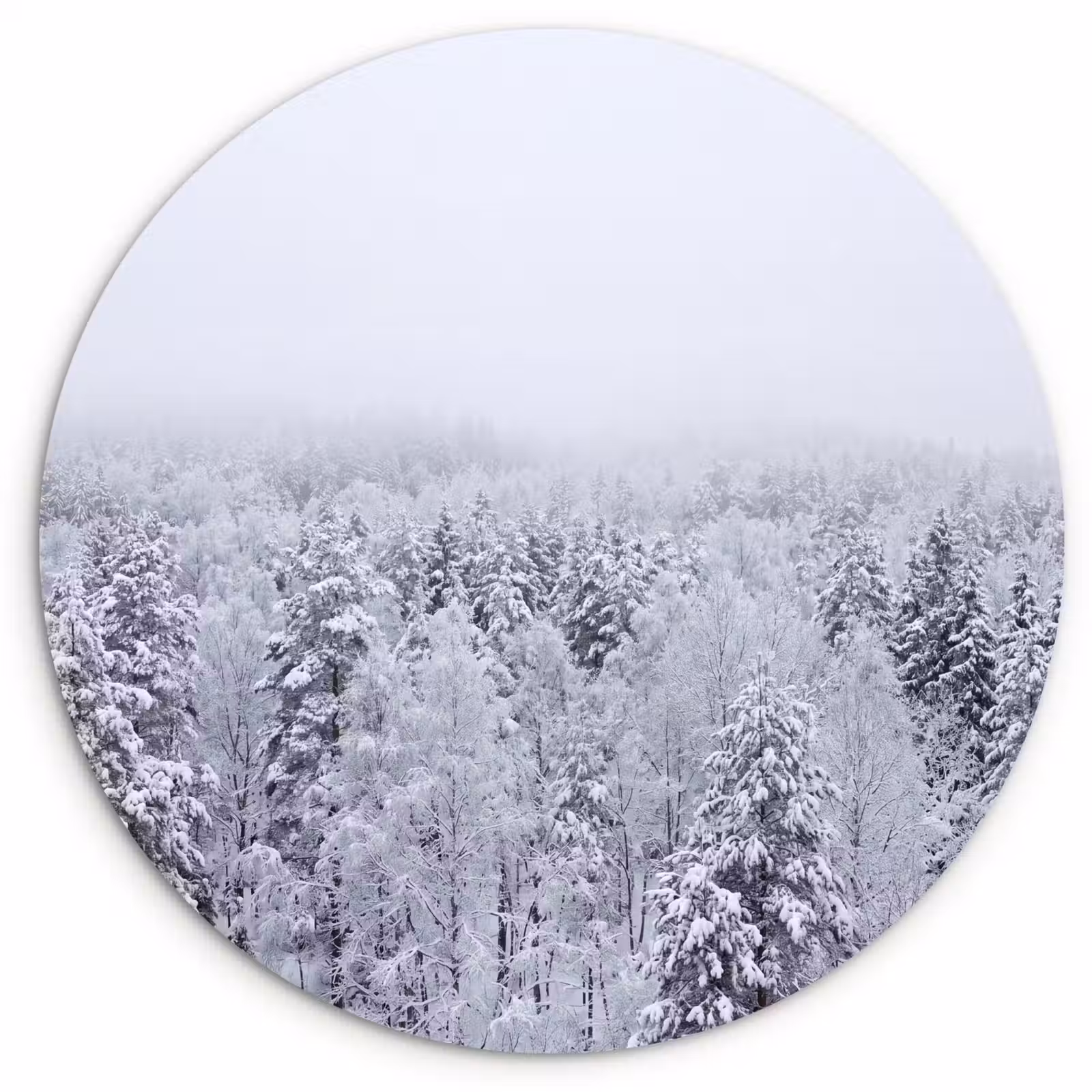 Muurcirkel - Bos - Sneeuw - Winter - Natuur - Wit — 1