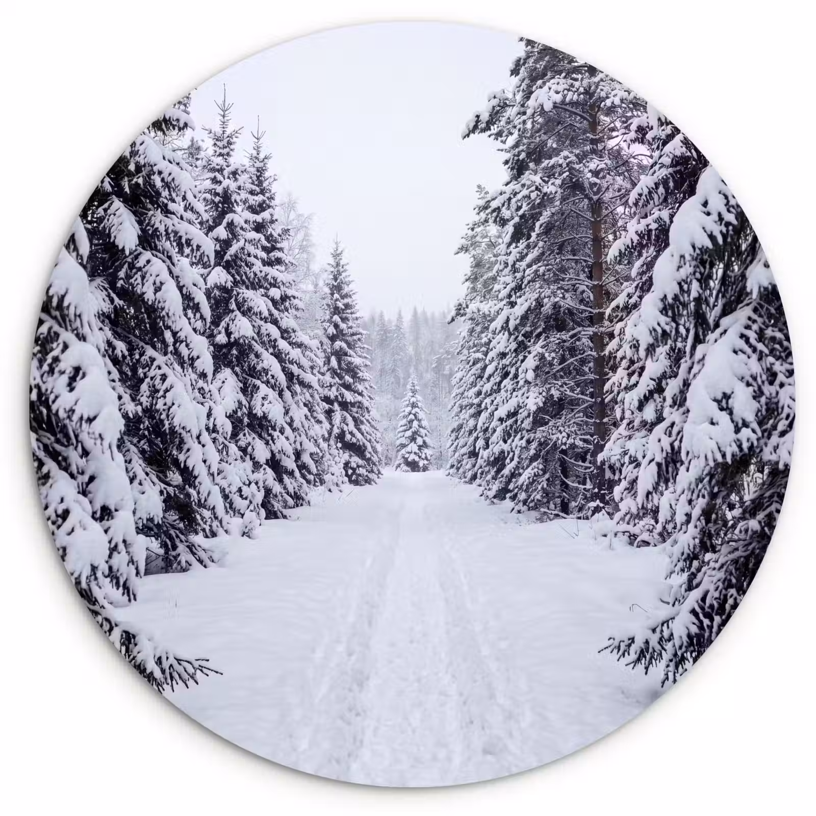 Muurcirkel - Bos - Winter - Sneeuw - Pad - Natuur — 1