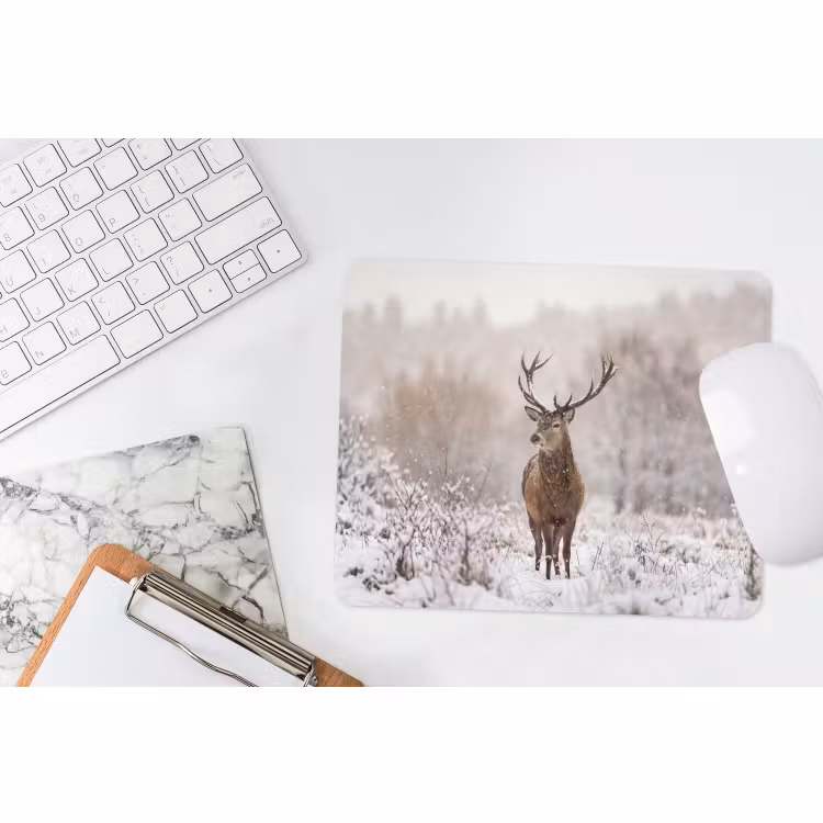 Muismat - Edelhert - Bos - Sneeuw - Winter - Majestueus — 2