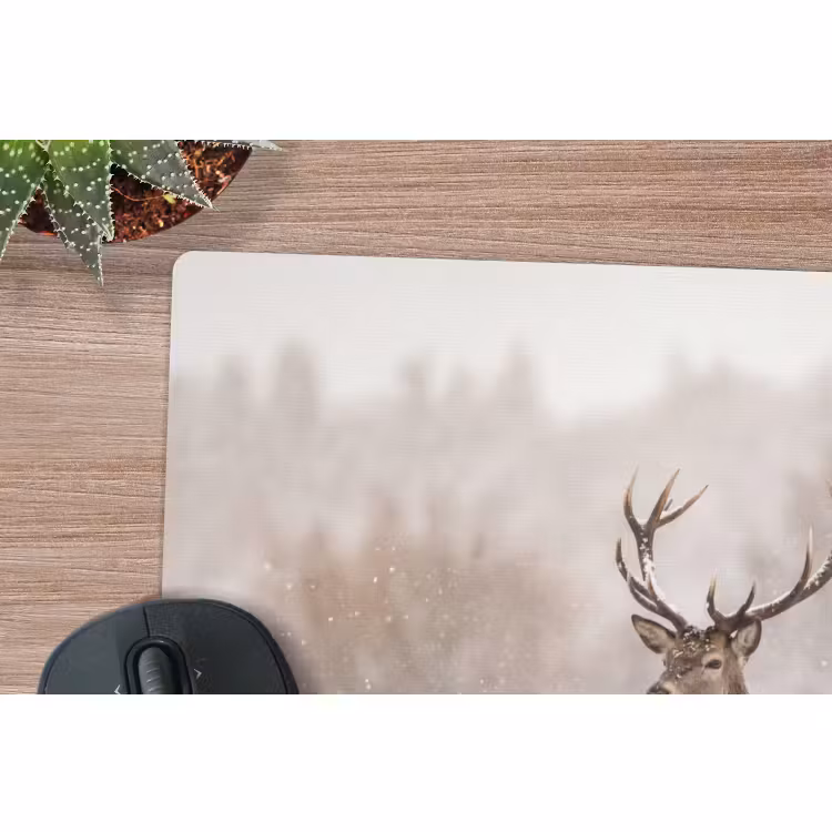 Muismat - Edelhert - Bos - Sneeuw - Winter - Majestueus — 4