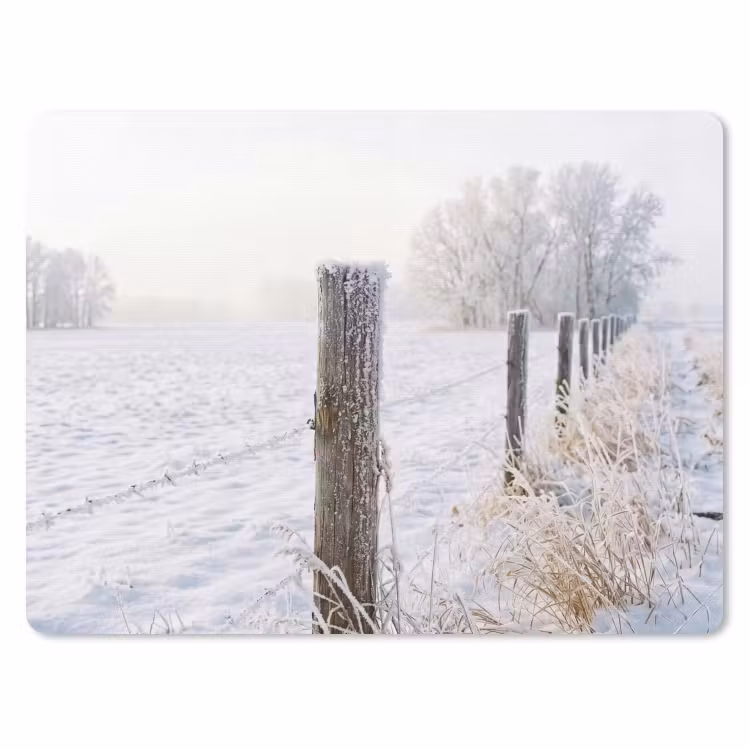 Muismat - Hek - Sneeuw - Mist - Platteland - Nostalgisch — 1