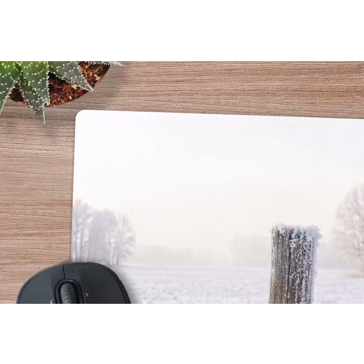 Muismat - Hek - Sneeuw - Mist - Platteland - Nostalgisch — 4