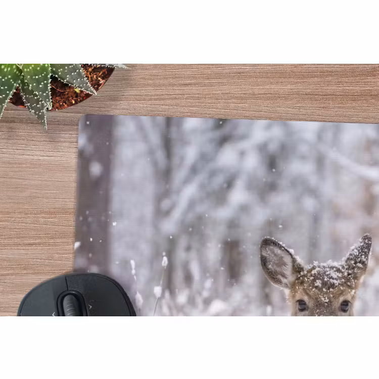Muismat - Hert - Sneeuw - Bos - Dieren - Vertederend — 4