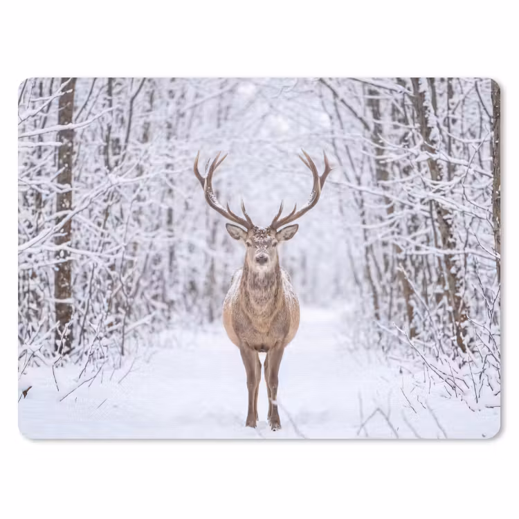 Muismat - Hert - Winter - Bos - Natuur - Wit — 1