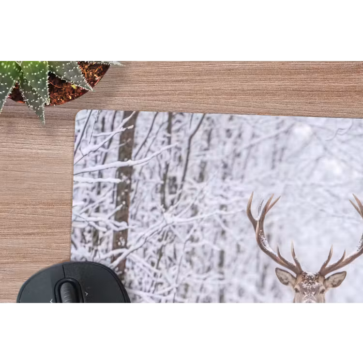 Muismat - Hert - Winter - Bos - Natuur - Wit — 4