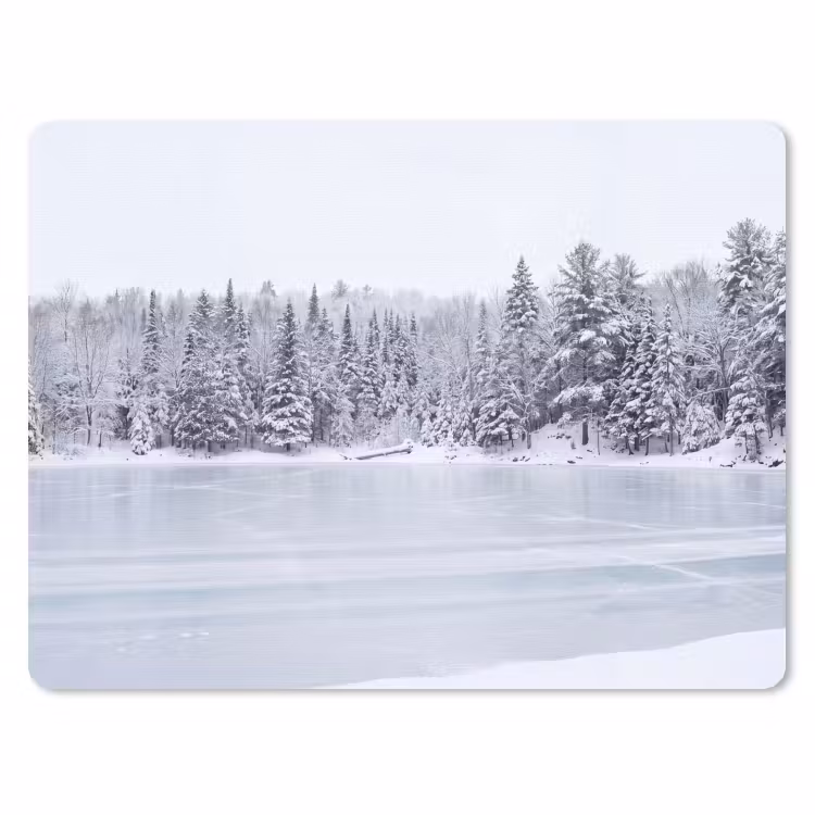 Muismat - Meer - Dennen - IJs - Winter - Rustgevend — 1
