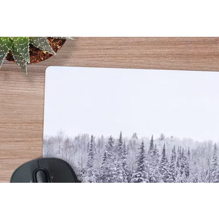 Muismat - Meer - Dennen - IJs - Winter - Rustgevend — 4