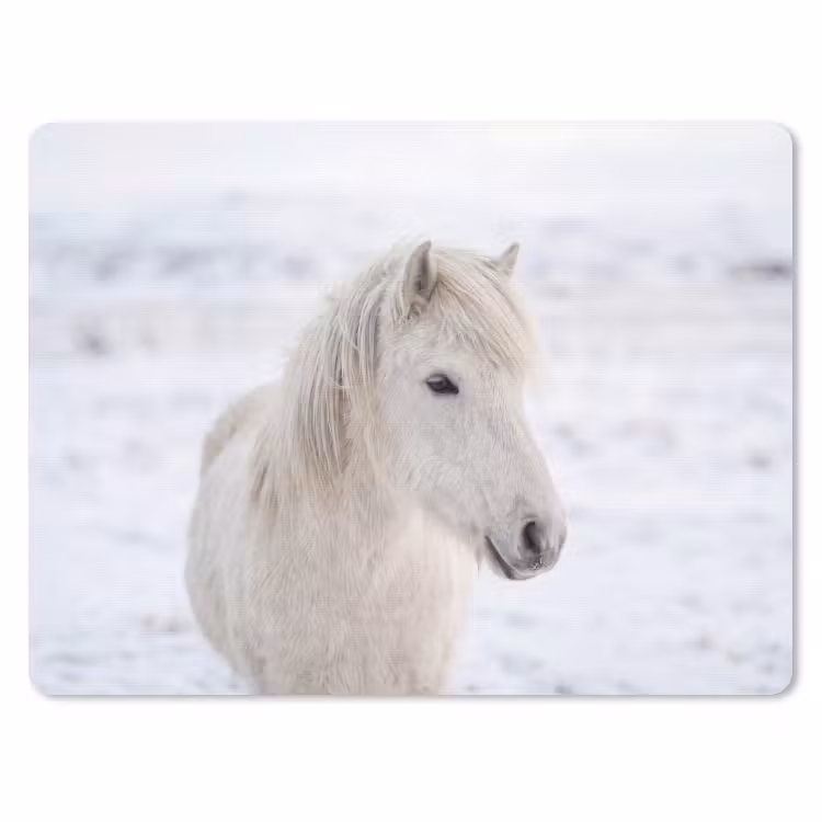Muismat - Paard - Kop - Winter - Dieren - Wit — 1
