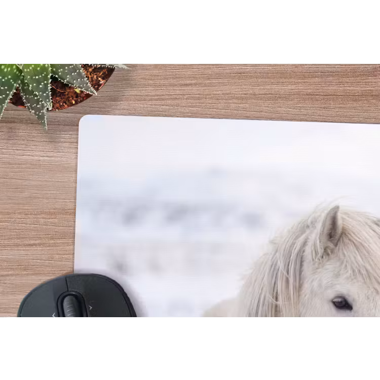 Muismat - Paard - Kop - Winter - Dieren - Wit — 4
