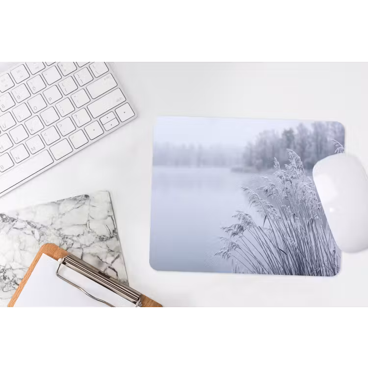 Muismat - Riet - Bevroren - Winter - Natuur — 2