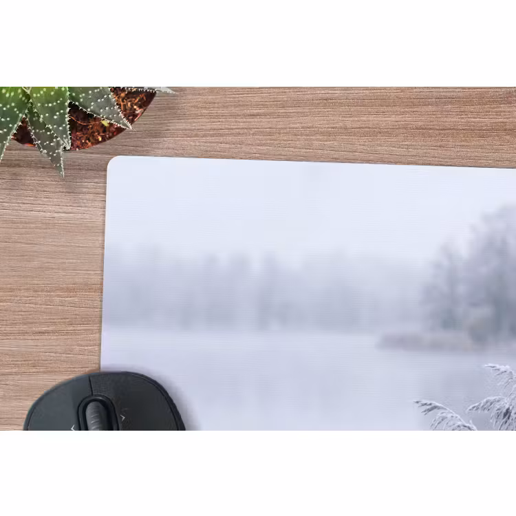 Muismat - Riet - Bevroren - Winter - Natuur — 4