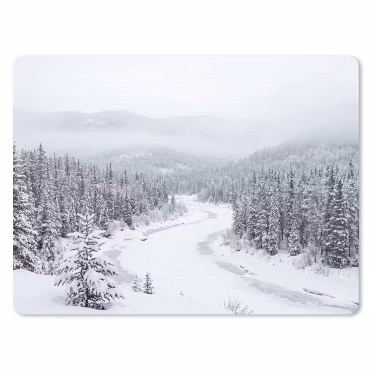 Muismat - Rivier - Bevroren - Landschap - Winter — 1