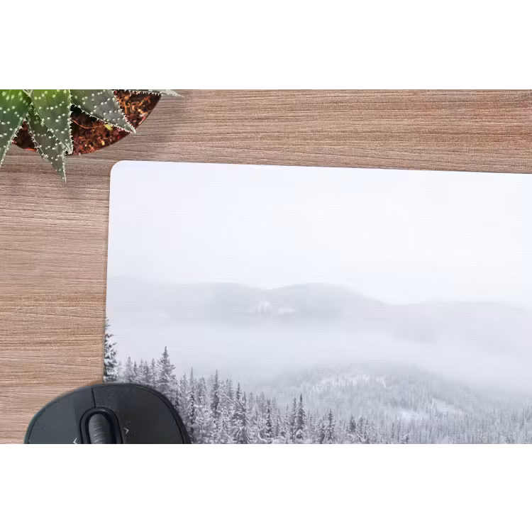 Muismat - Rivier - Bevroren - Landschap - Winter — 4