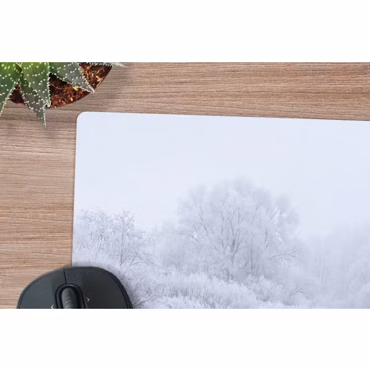 Muismat - Rivier - Sneeuw - Bos - Winter - Schilderachtig — 4