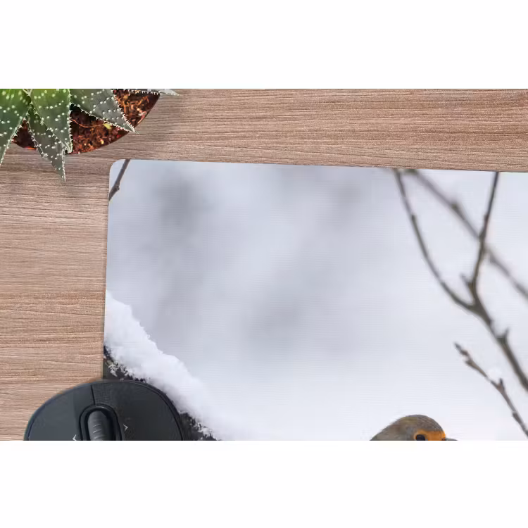 Muismat - Roodborstje - Tak - Sneeuw - Winter - Levendig — 4