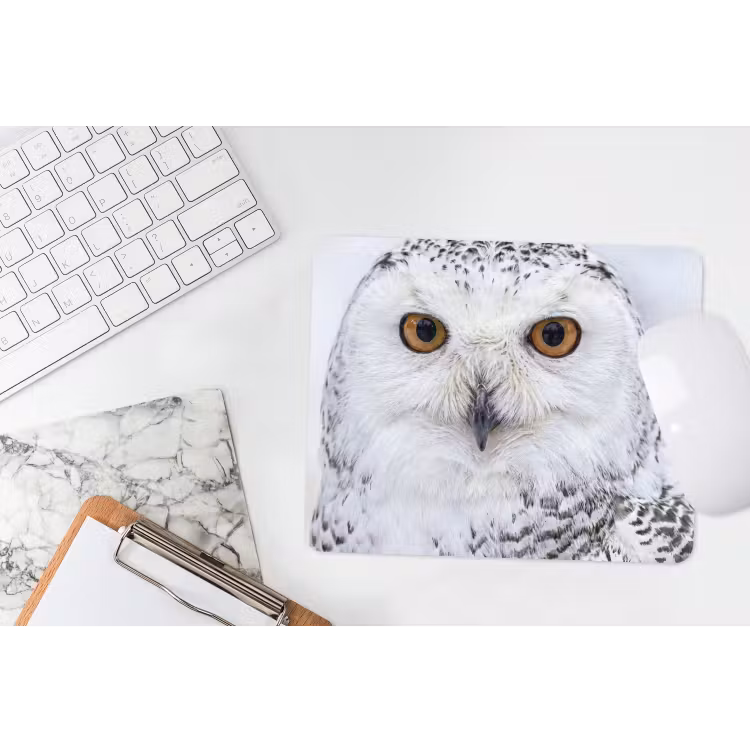Muismat - Sneeuwuil - Oog - Wildlife - Wit — 2