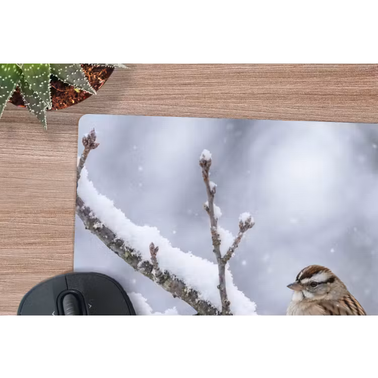 Muismat - Vogel - Tak - Sneeuw - Winter — 4