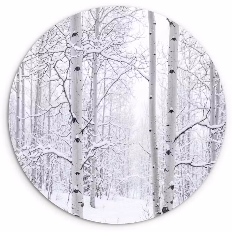 Muurcirkel - Berkenbomen - Sneeuw - Winter - Bos - Wit — 1