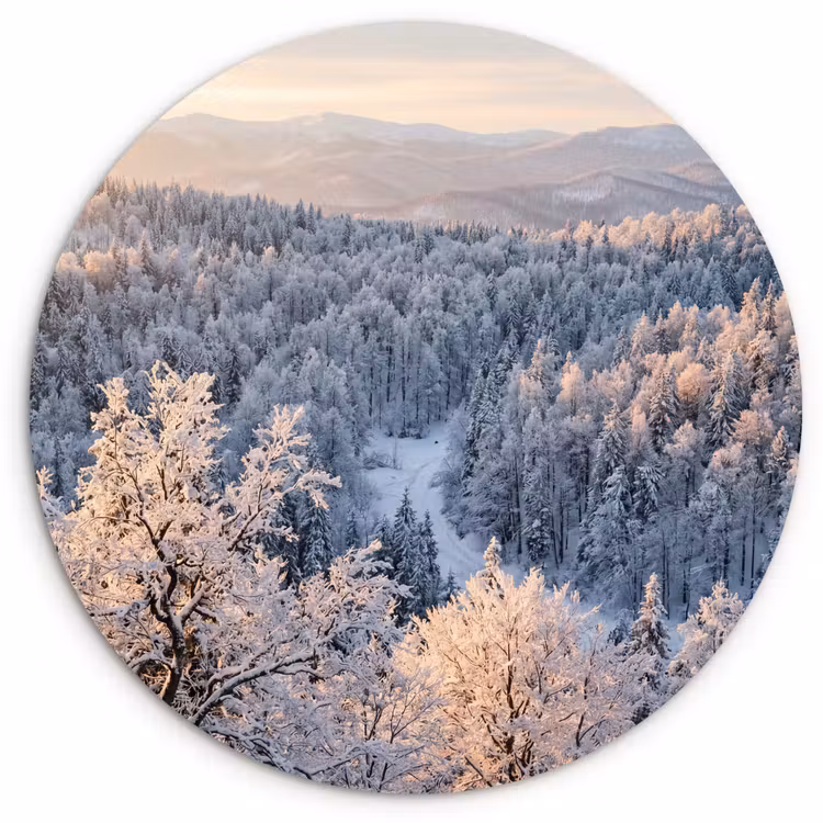 Muurcirkel - Bos - Bergen - Goud - Winter - Warm — 1