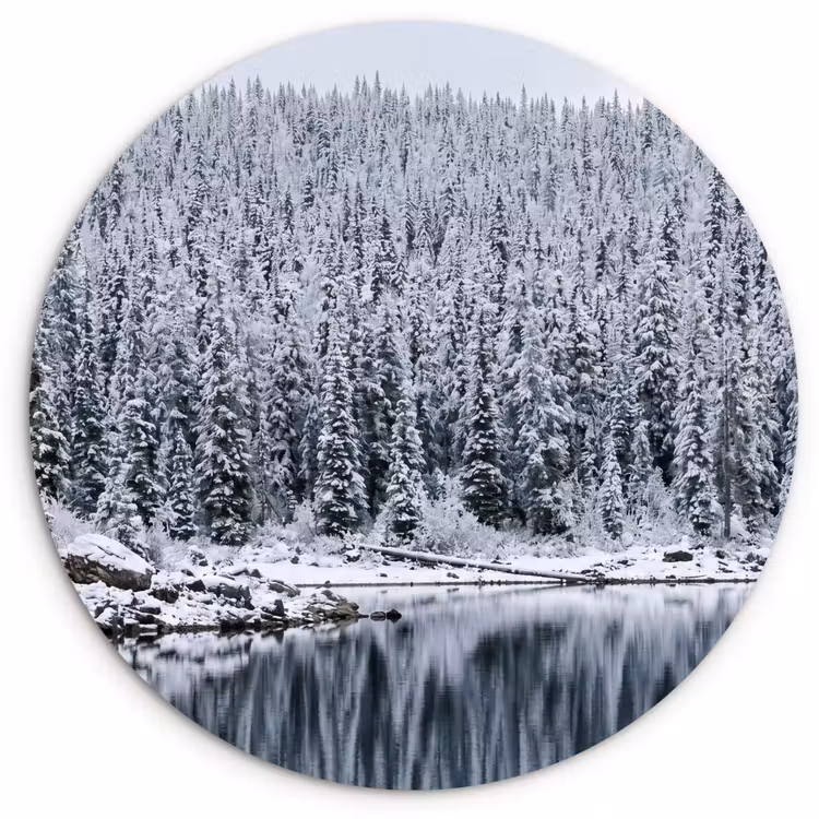 Muurcirkel - Bos - Reflectie - Meer - Winter - Serene — 1