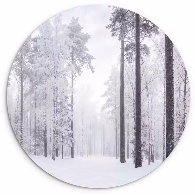 Muurcirkel - Bos - Sneeuw - Pad - Winter - Stilte — 1