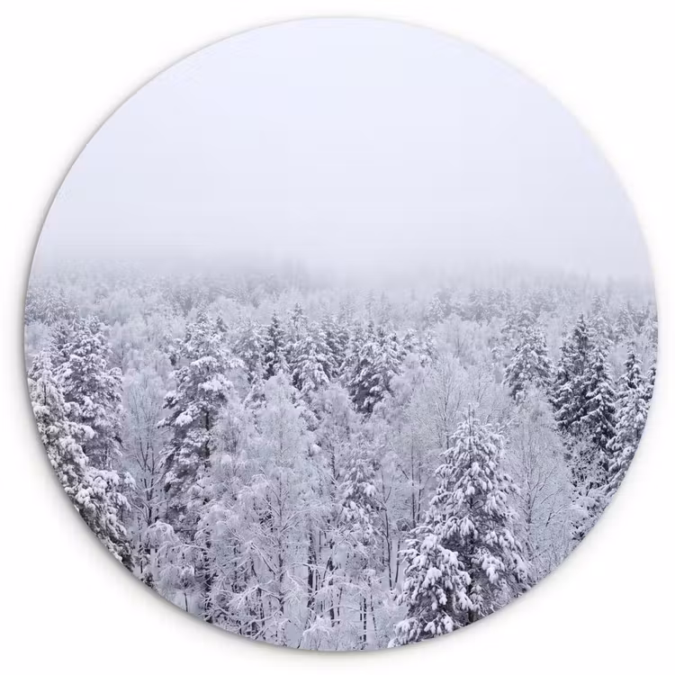 Muurcirkel - Bos - Sneeuw - Winter - Natuur - Wit — 1