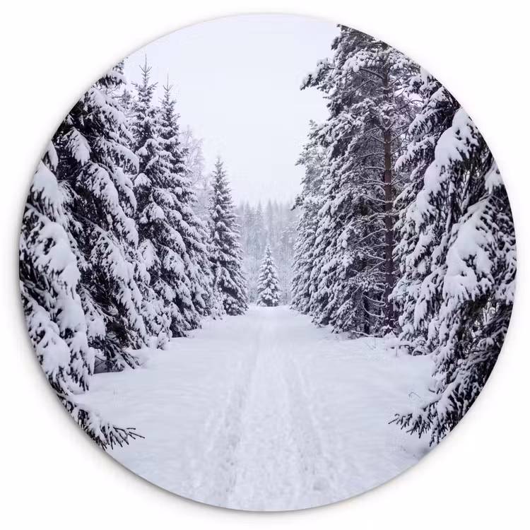 Muurcirkel - Bos - Winter - Sneeuw - Pad - Natuur — 1