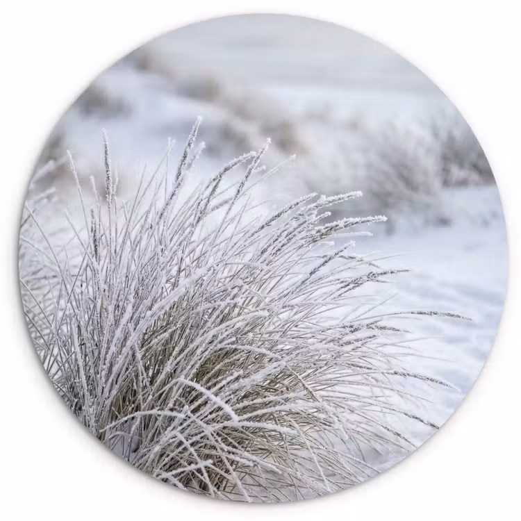 Muurcirkel - Duinen - Sneeuw - Strand - Winter - Serene — 1